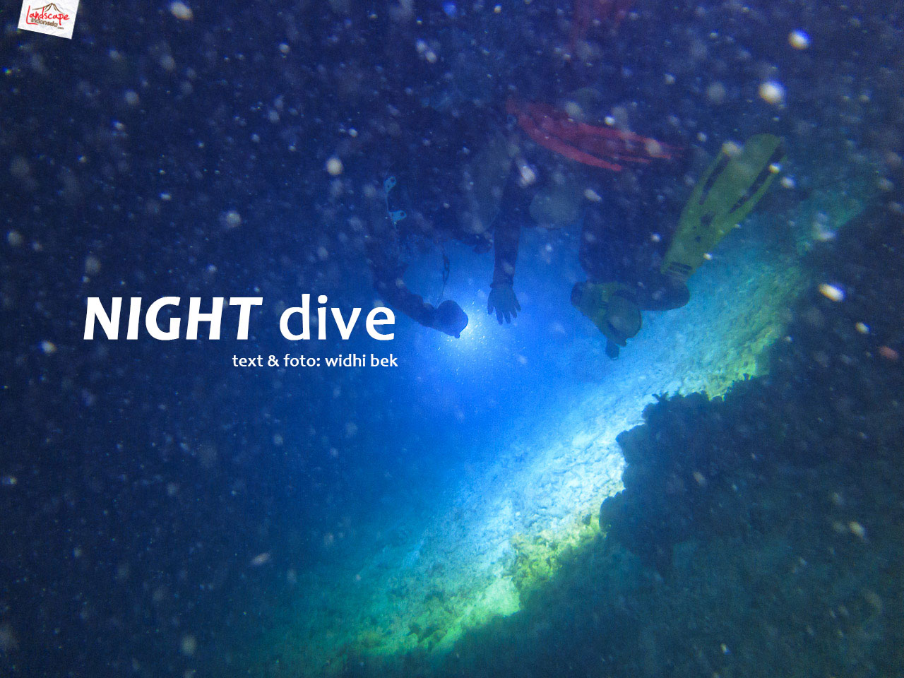 night dive