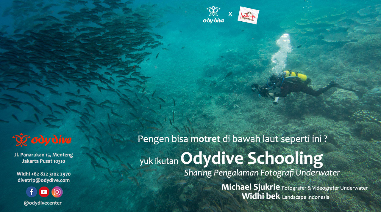 odydive scholing - Odydive Schooling: Sharing Pengalaman Memotret Underwater