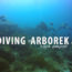 diving-di-arborek-