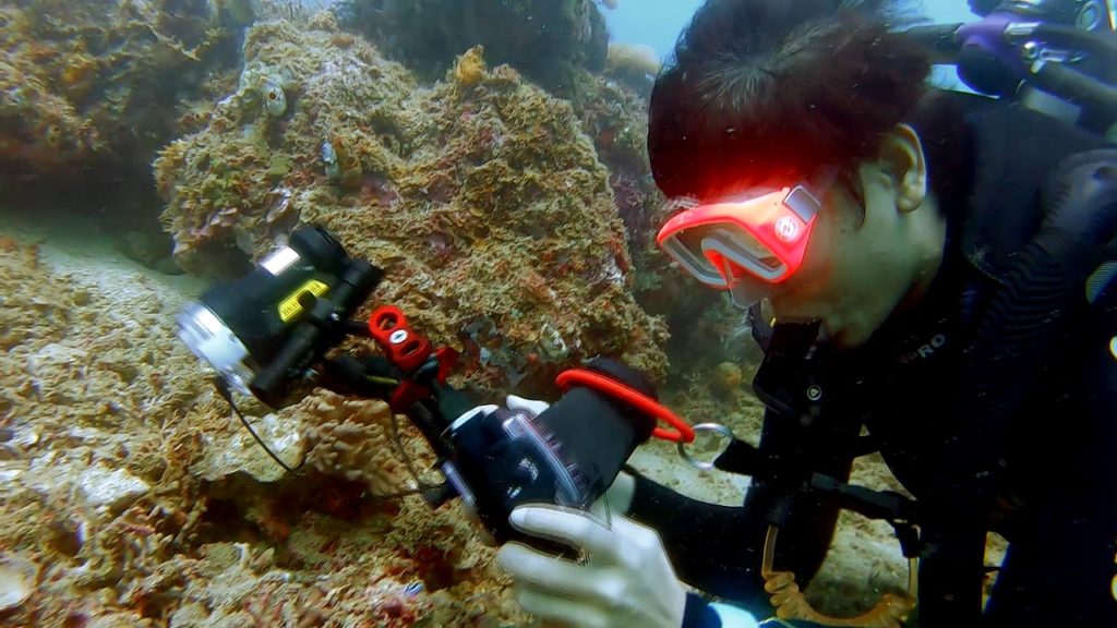 fotografer under water
