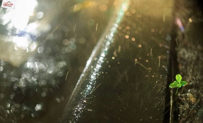 memotret hujan 20 2 - Tips Menguasai Fotografi Hujan